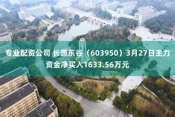 专业配资公司 长源东谷（603950）3月27日主力资金净买入1633.56万元
