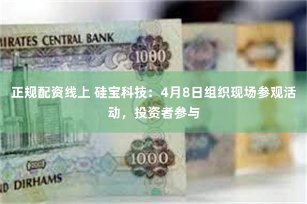 正规配资线上 硅宝科技：4月8日组织现场参观活动，投资者参与