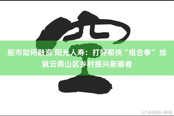 股市如何融资 阳光人寿：打好帮扶“组合拳” 绘就云南山区乡村振兴新画卷
