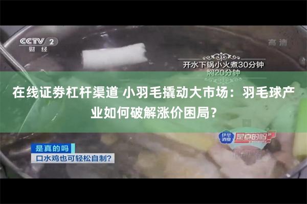 在线证劵杠杆渠道 小羽毛撬动大市场：羽毛球产业如何破解涨价困局？
