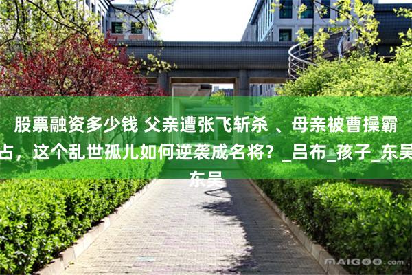 股票融资多少钱 父亲遭张飞斩杀 、母亲被曹操霸占，这个乱世孤儿如何逆袭成名将？_吕布_孩子_东吴