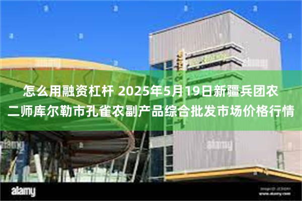 怎么用融资杠杆 2025年5月19日新疆兵团农二师库尔勒市孔雀农副产品综合批发市场价格行情