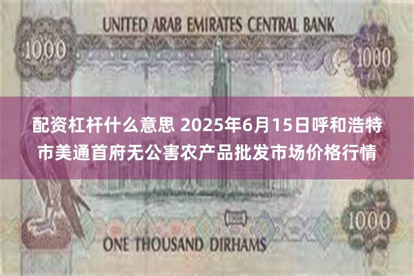 配资杠杆什么意思 2025年6月15日呼和浩特市美通首府无公害农产品批发市场价格行情