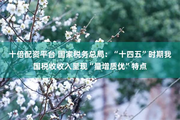 十倍配资平台 国家税务总局：“十四五”时期我国税收收入呈现“量增质优”特点