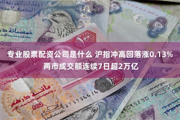 专业股票配资公司是什么 沪指冲高回落涨0.13% 两市成交额连续7日超2万亿