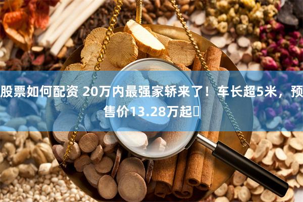 股票如何配资 20万内最强家轿来了!车长超5米,预售价13.28万起